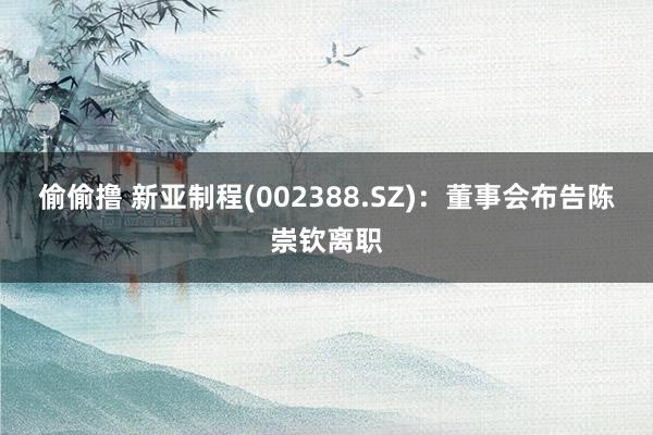 偷偷撸 新亚制程(002388.SZ):董事会布告陈崇钦离职