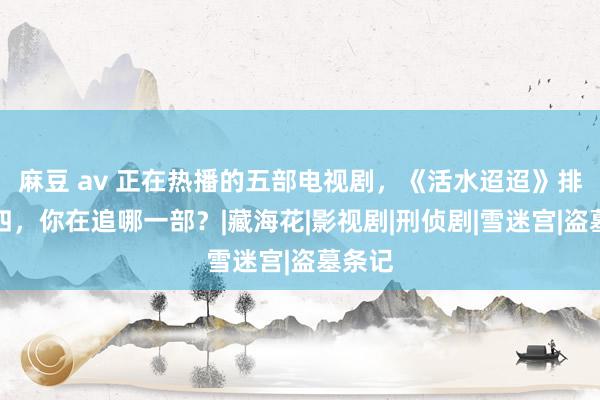 麻豆 av 正在热播的五部电视剧，《活水迢迢》排在第四，你在追哪一部？|藏海花|影视剧|刑侦剧|雪迷宫|盗墓条记