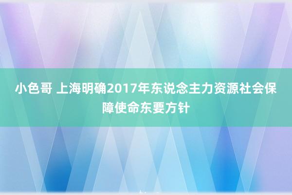 小色哥 上海明确2017年东说念主力资源社会保障使命东要方针