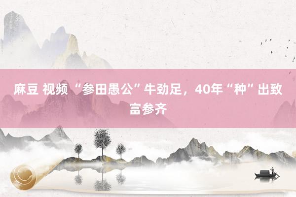 麻豆 视频 “参田愚公”牛劲足，40年“种”出致富参齐