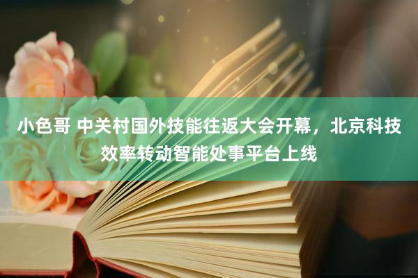 小色哥 中关村国外技能往返大会开幕，北京科技效率转动智能处事平台上线