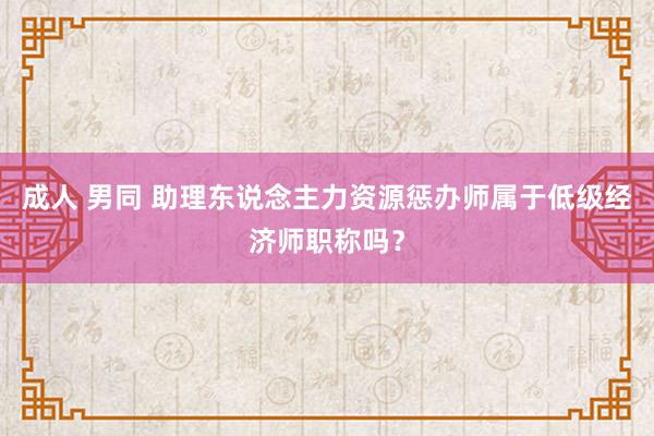 成人 男同 助理东说念主力资源惩办师属于低级经济师职称吗？