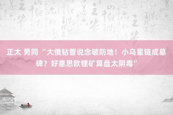 正太 男同 “大俄钻管说念破防地！小乌星链成墓碑？好意思欧锂矿算盘太阴毒”