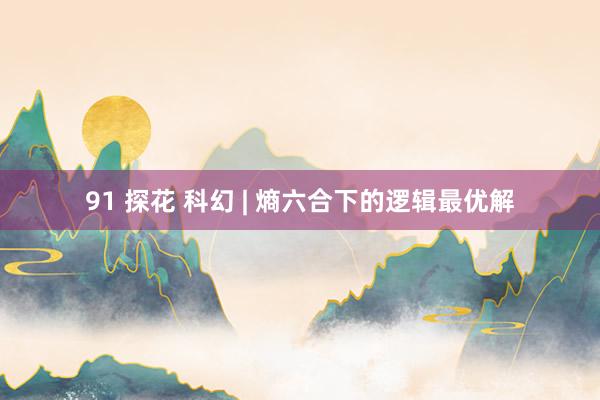 91 探花 科幻 | 熵六合下的逻辑最优解