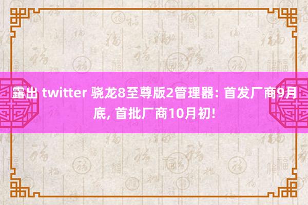 露出 twitter 骁龙8至尊版2管理器: 首发厂商9月底， 首批厂商10月初!