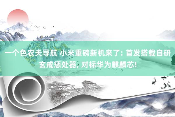 一个色农夫导航 小米重磅新机来了: 首发搭载自研玄戒惩处器， 对标华为麒麟芯!